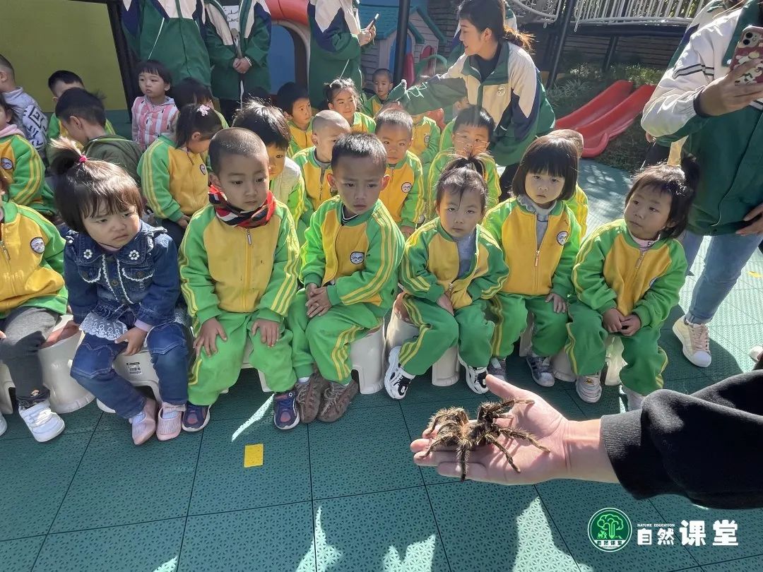 云南野生动物园