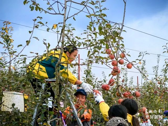 盘龙教育(微信)