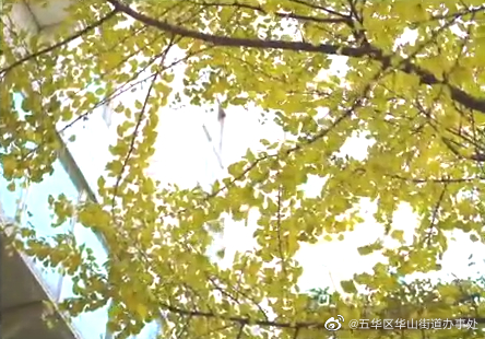 五华区华山街道办事处