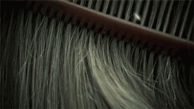 昆明市西山区发布