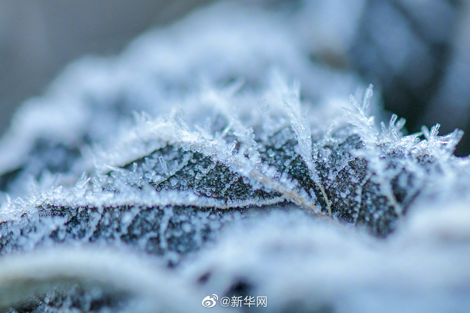 注意保暖！我国大部自西向东将遭遇大风降温 局地降温超20℃