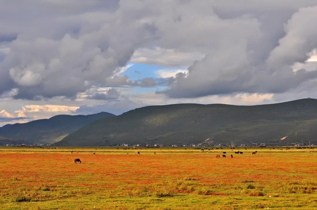 一部手机游云南