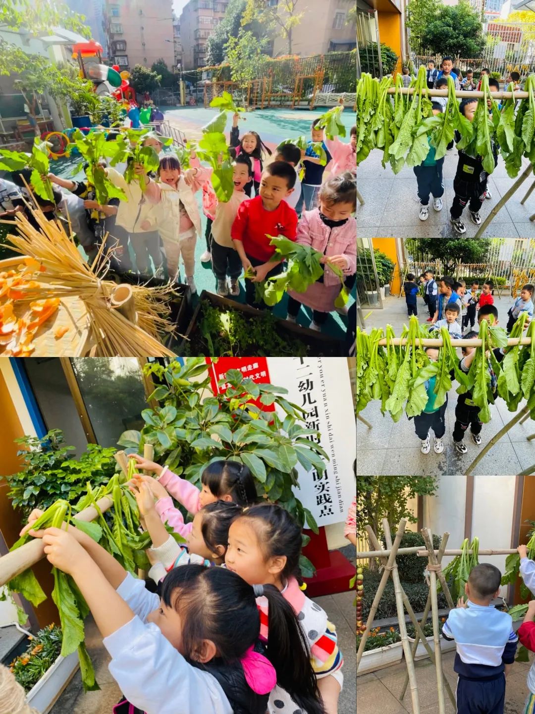 盘龙教育(微信)