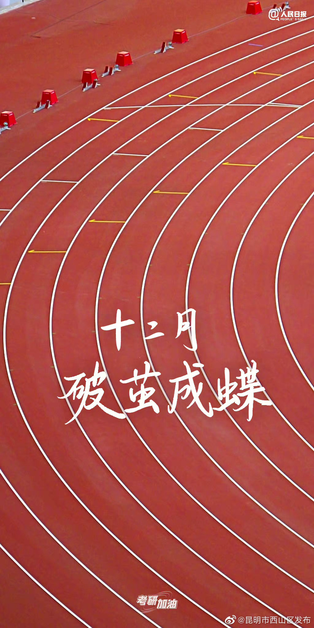 昆明市西山区发布