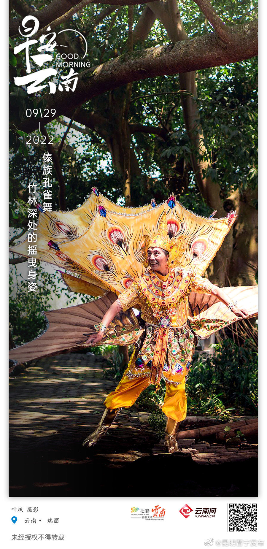 傣族孔雀舞，竹林深处的摇曳身姿