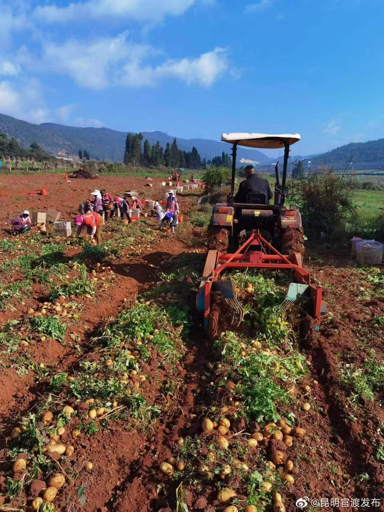 “昆明官渡发布”微博