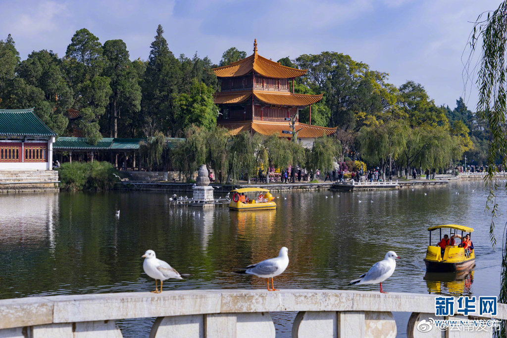 “云南发布”微博