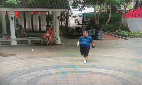 掌上春城