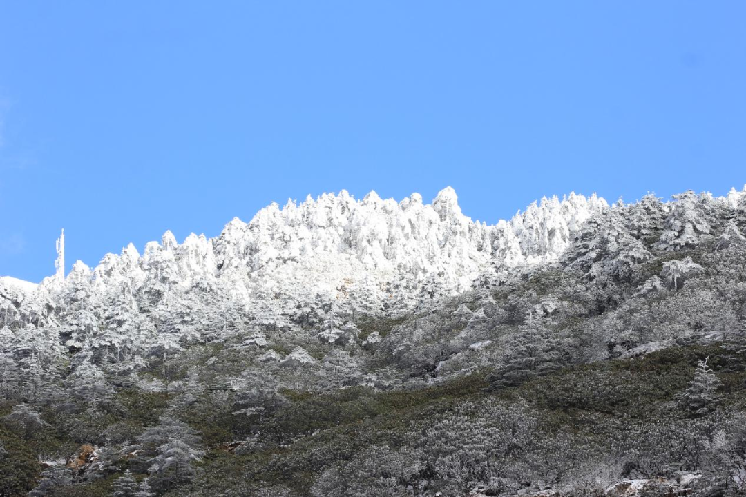 昆明轿子山旅游