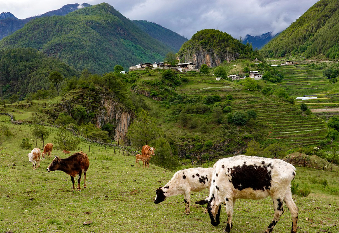 一部手机游云南