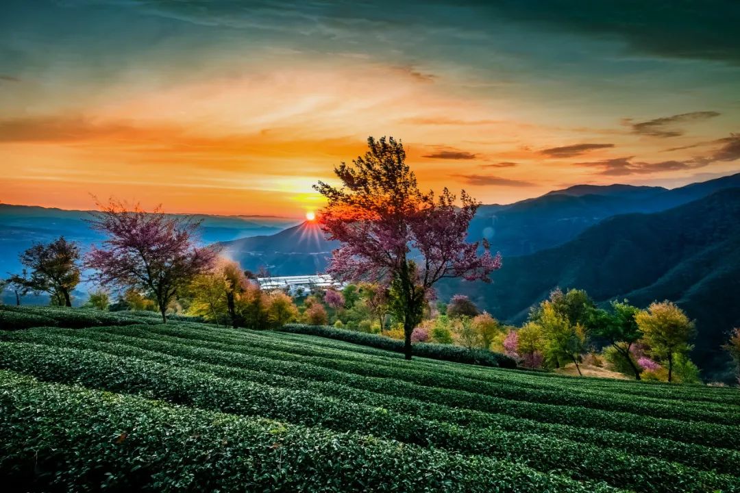 一部手机游云南