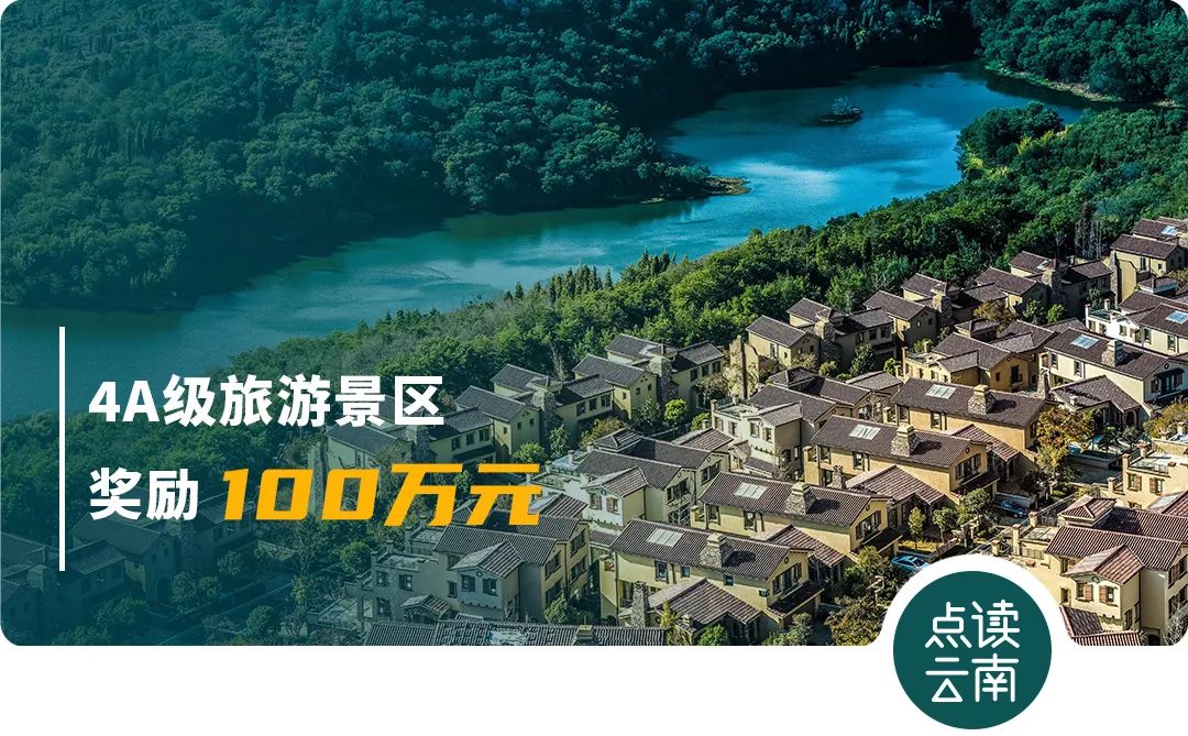 云南省人民政府网