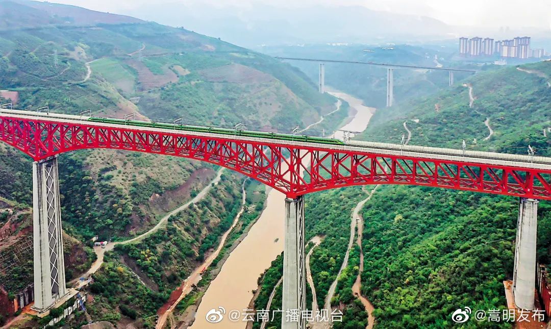 物畅其流！中老铁路开通运营一年，货运交出亮眼成绩单