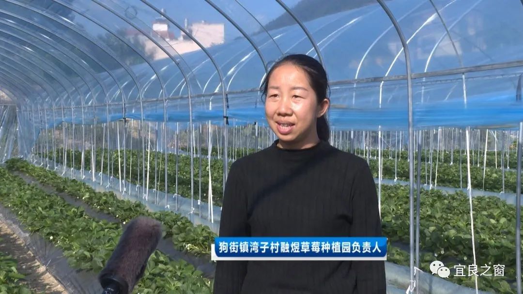 宜良之窗