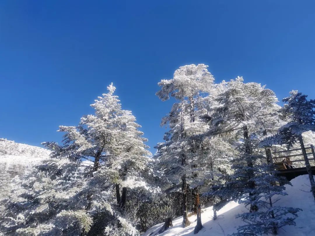昆明轿子山旅游