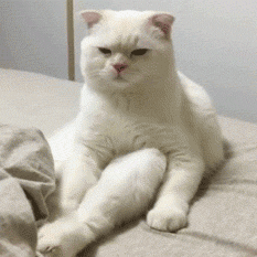 昆明市西山区发布