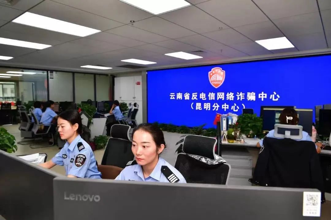 云南政法
