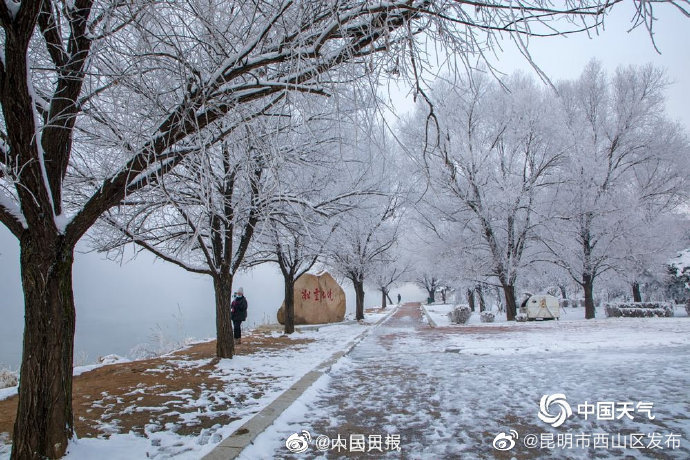 昆明市西山区发布