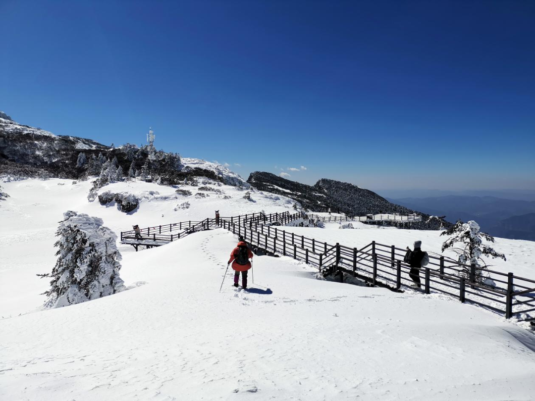 昆明轿子山旅游