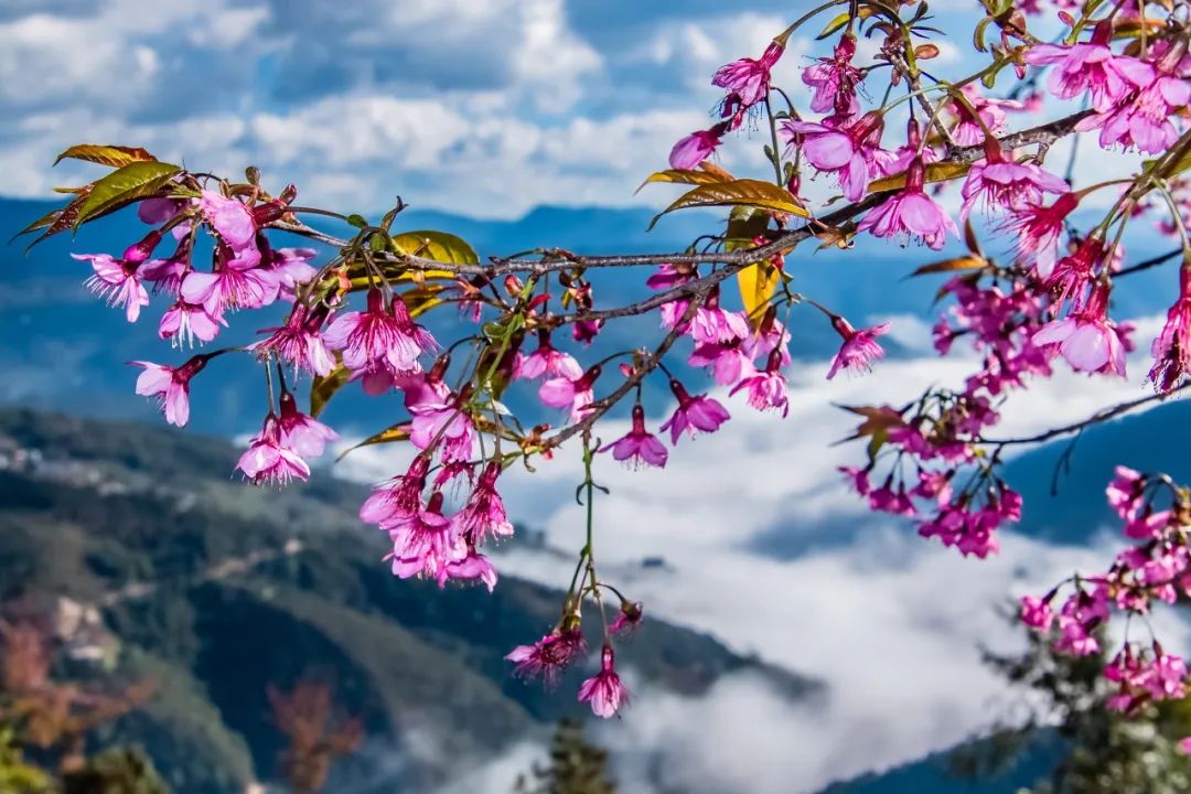 一部手机游云南