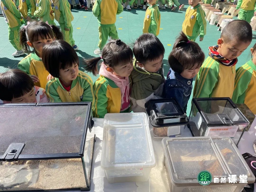 云南野生动物园