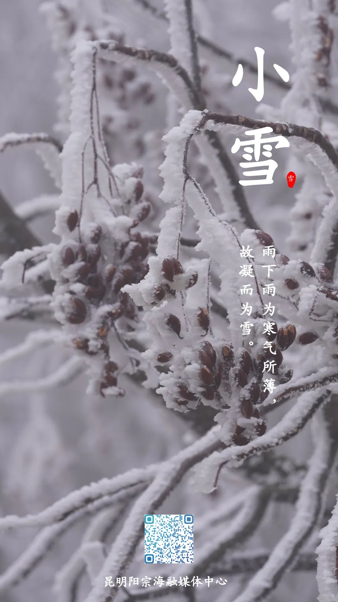 昆明阳宗海风景名胜区