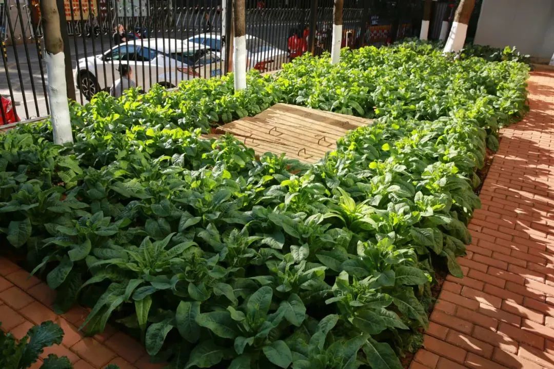 盘龙教育(微信)