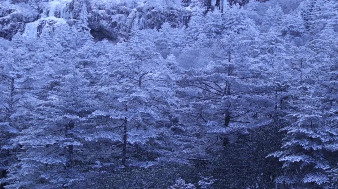 昆明轿子山旅游