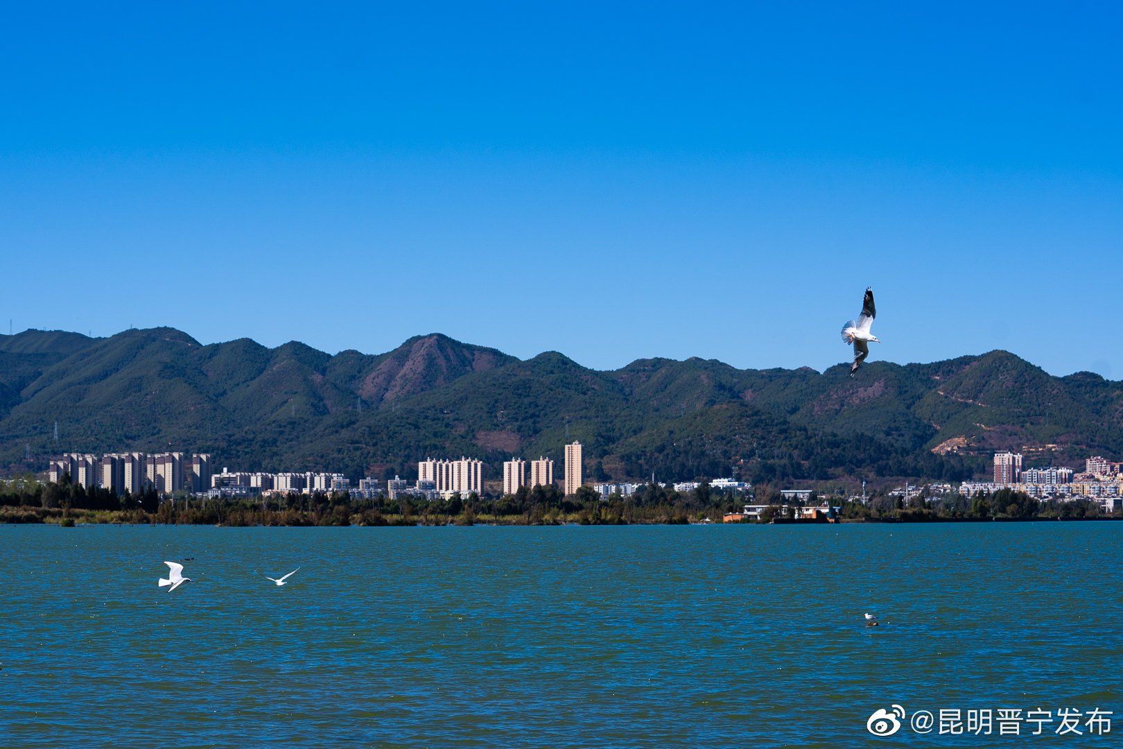 昆明晋宁发布