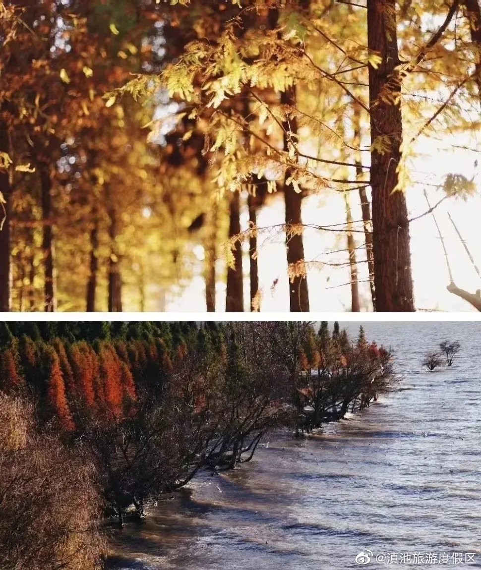 滇池旅游度假区