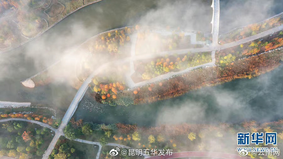 “昆明五华发布”微博