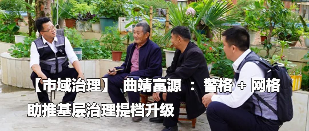 云南政法