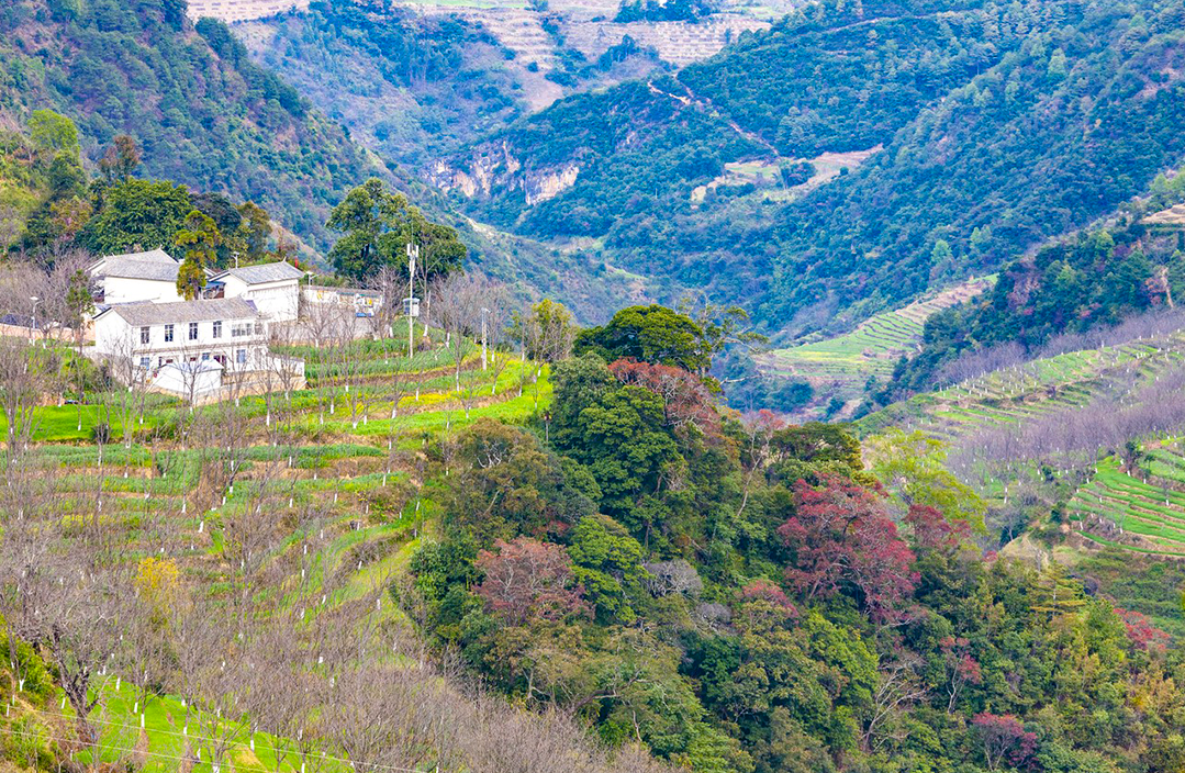 一部手机游云南