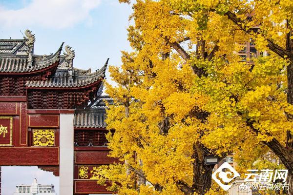 “云南发布”微博