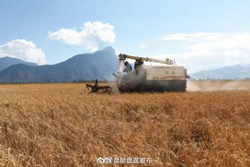昆明盘龙发布