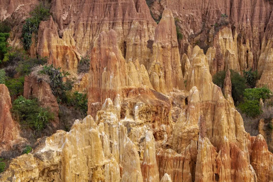 一部手机游云南