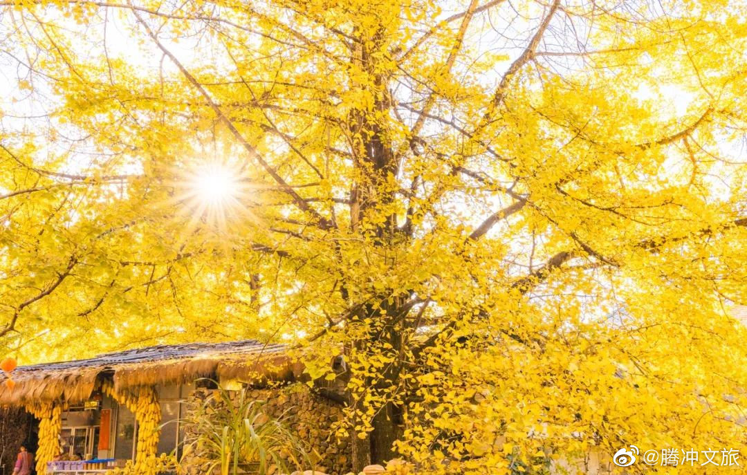 腾冲文旅微博