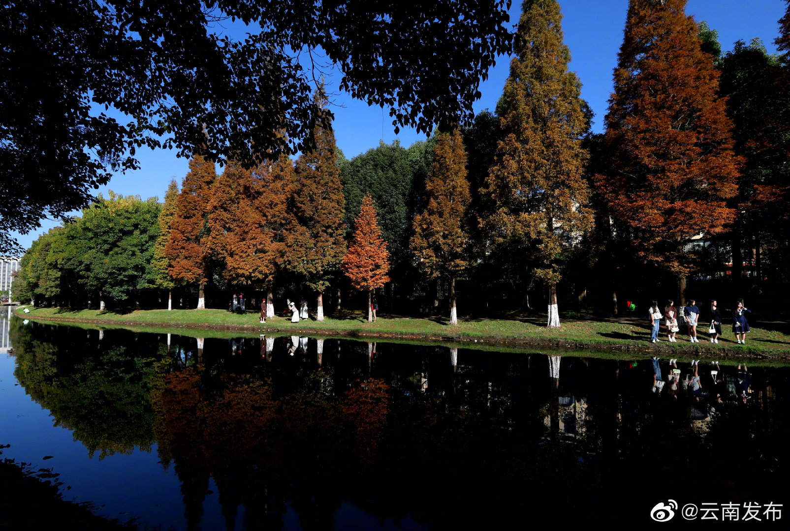 “云南发布”微博