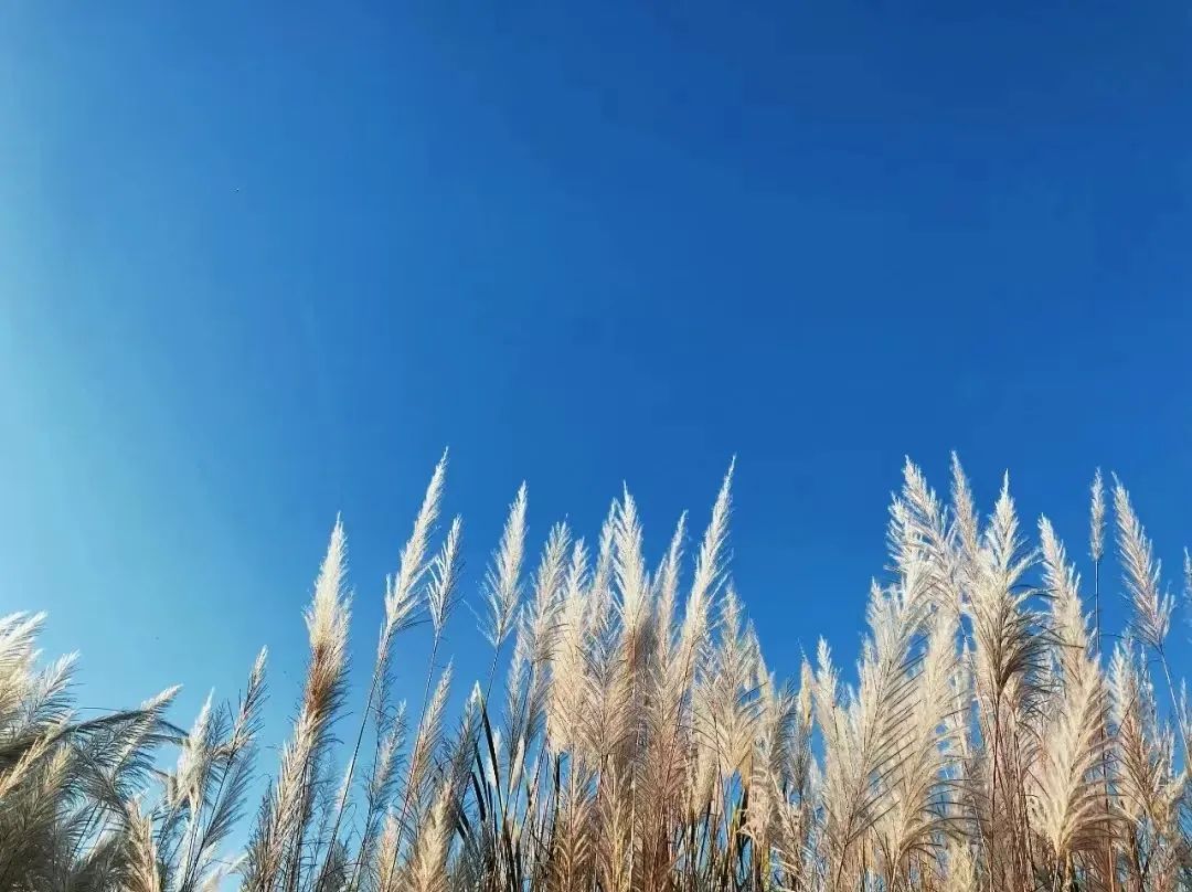 普洱日报