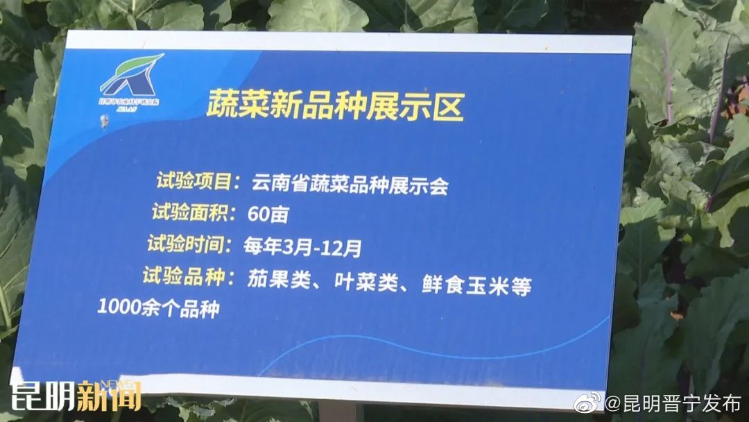 昆明晋宁发布