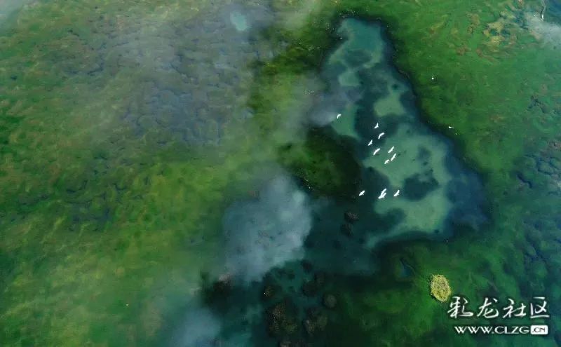 昆明信息港/cnkmxxg