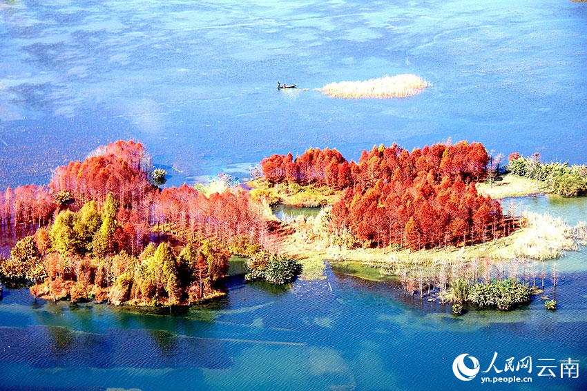 新华网云南频道