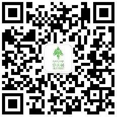 西双版纳望天树景区