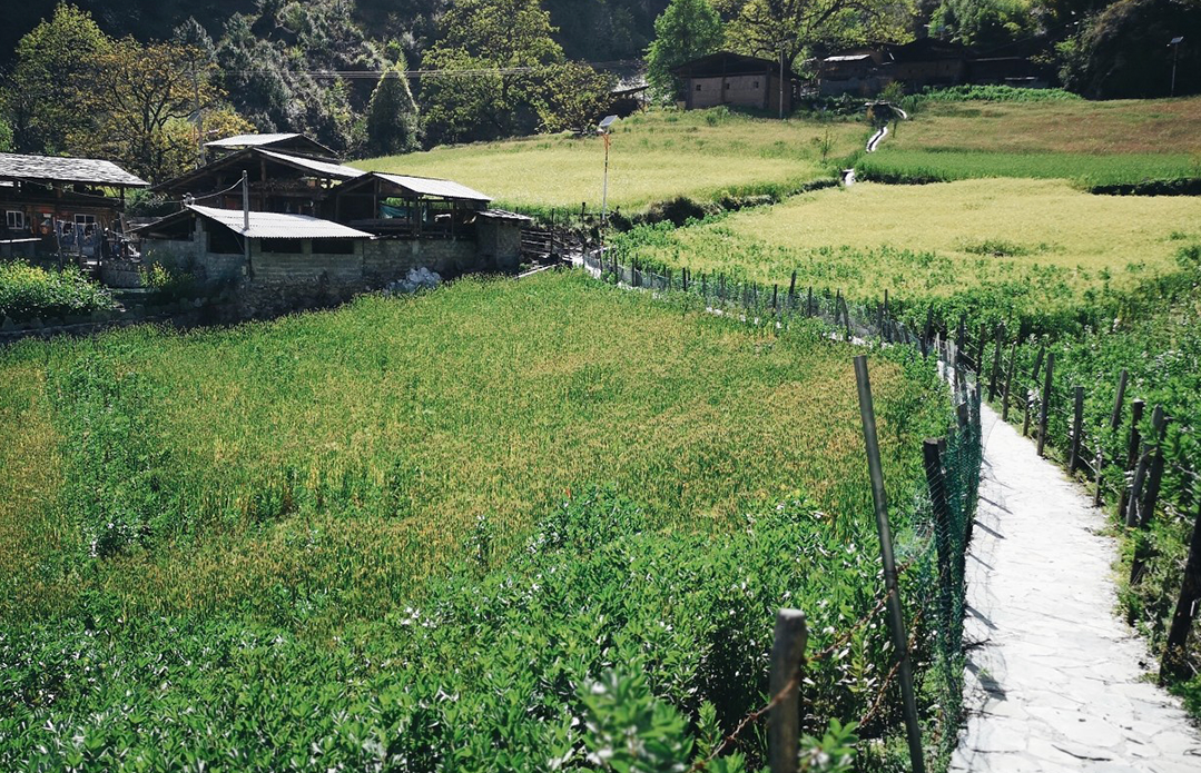 一部手机游云南