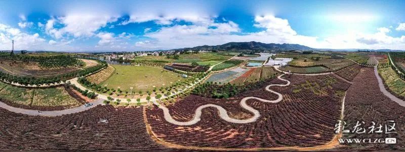 昆明信息港/cnkmxxg