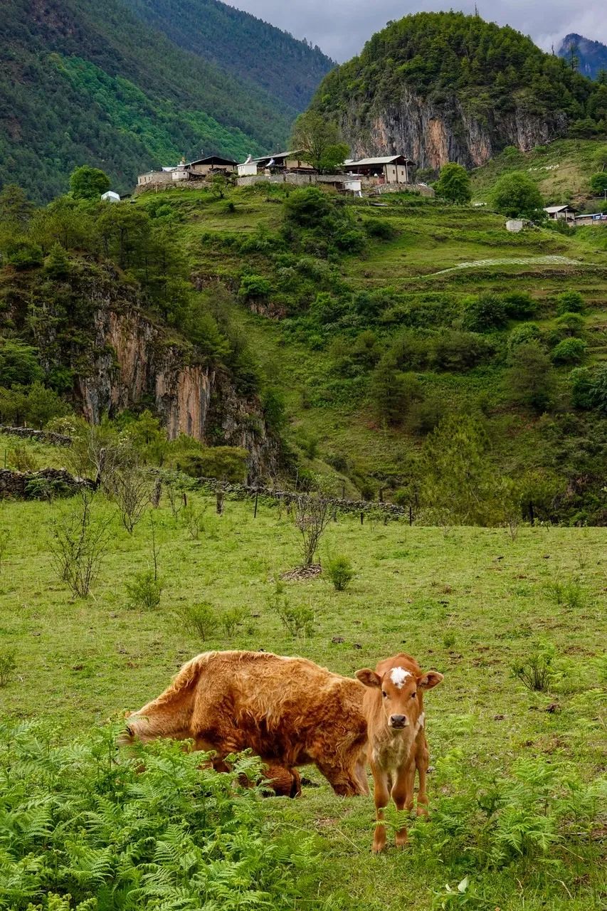 一部手机游云南