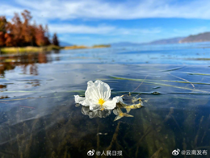 “云南发布”微博
