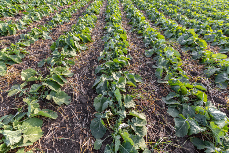 昆明公共文化云