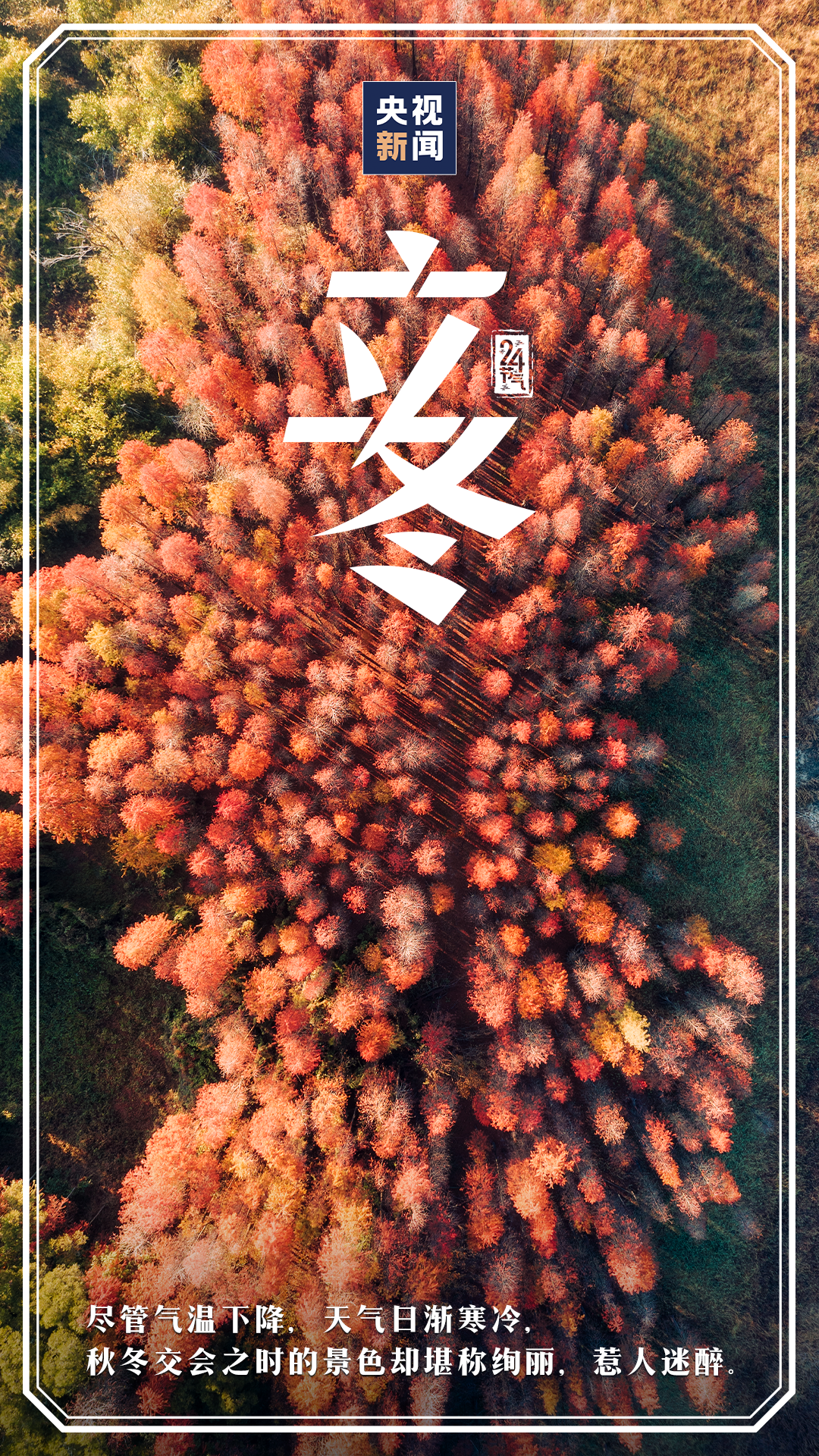 玉溪发布