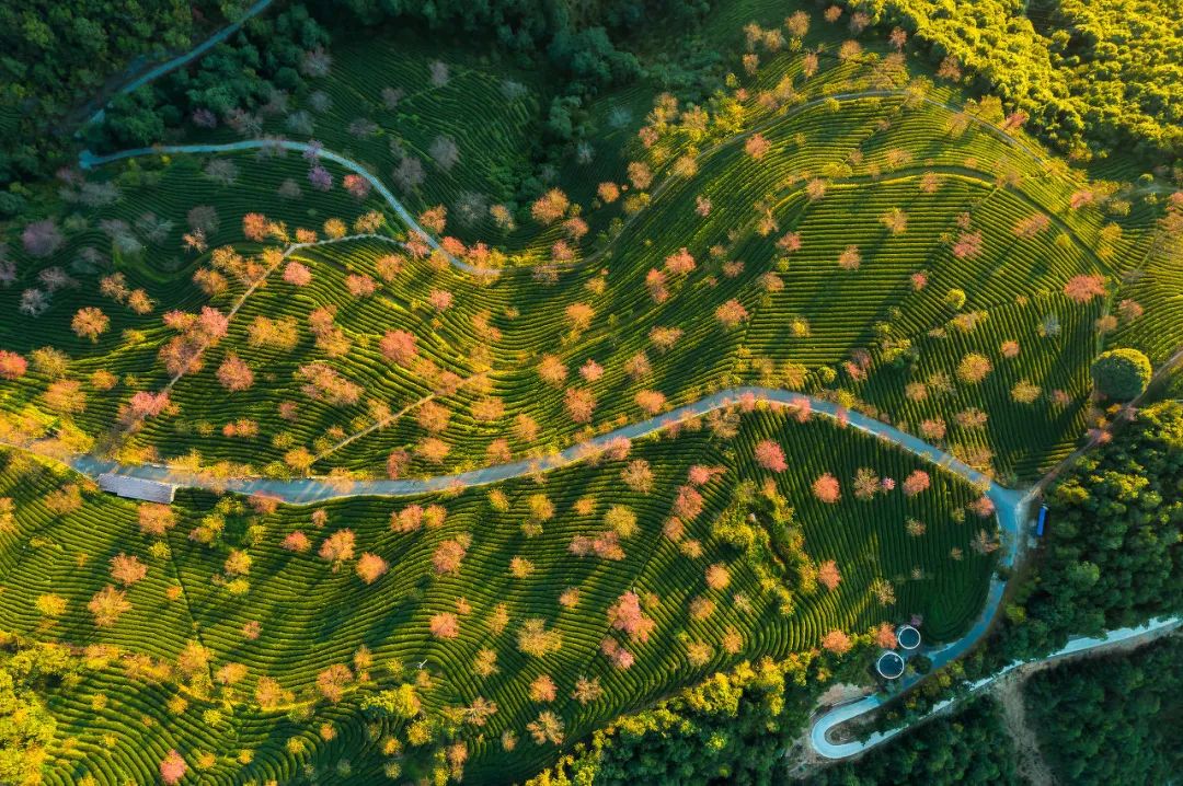 一部手机游云南